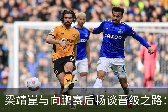 梁靖崑与向鹏赛后畅谈晋级之路：调整心态备战面对强敌